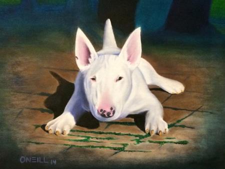 Art Galleries - Bull Terrier - 106348